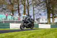 Advanced Group Silver_Grey Bikes